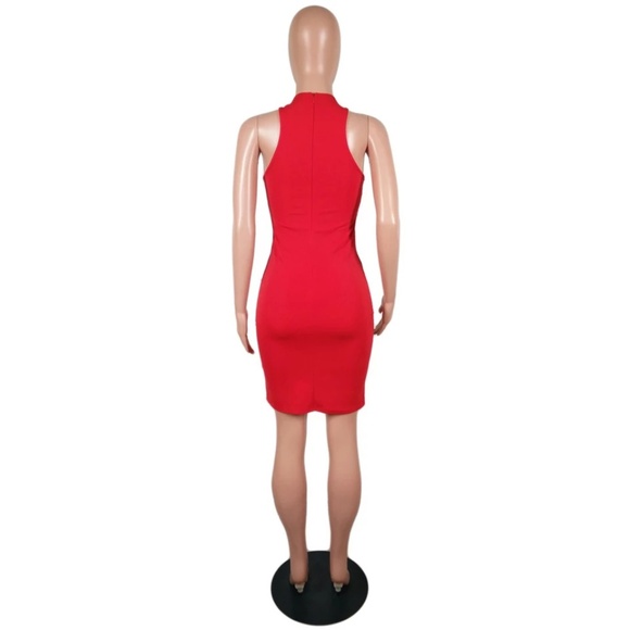 Red Rose - Picture 5 of 6